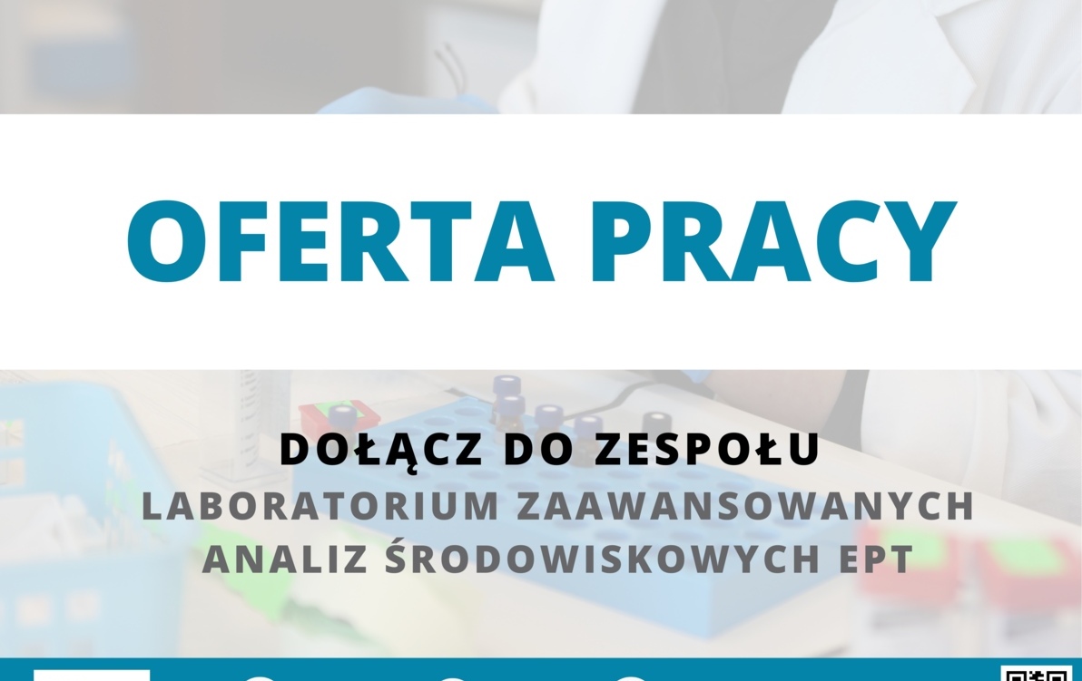 grafika oferta pracy 